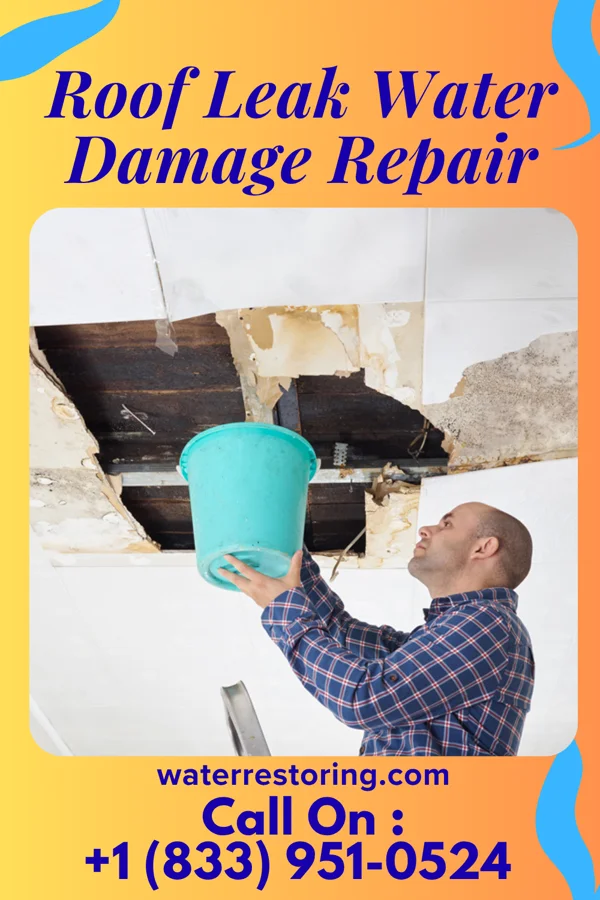 Roof Leak Water Damage Repair in Shirley, AR